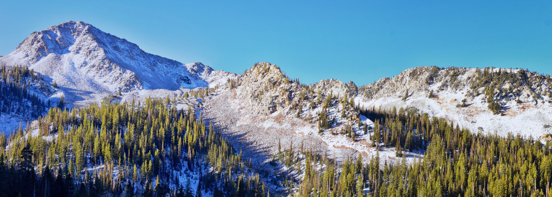 Making moves stress-free, simple, and fast for families and businesses in Ogden, UT