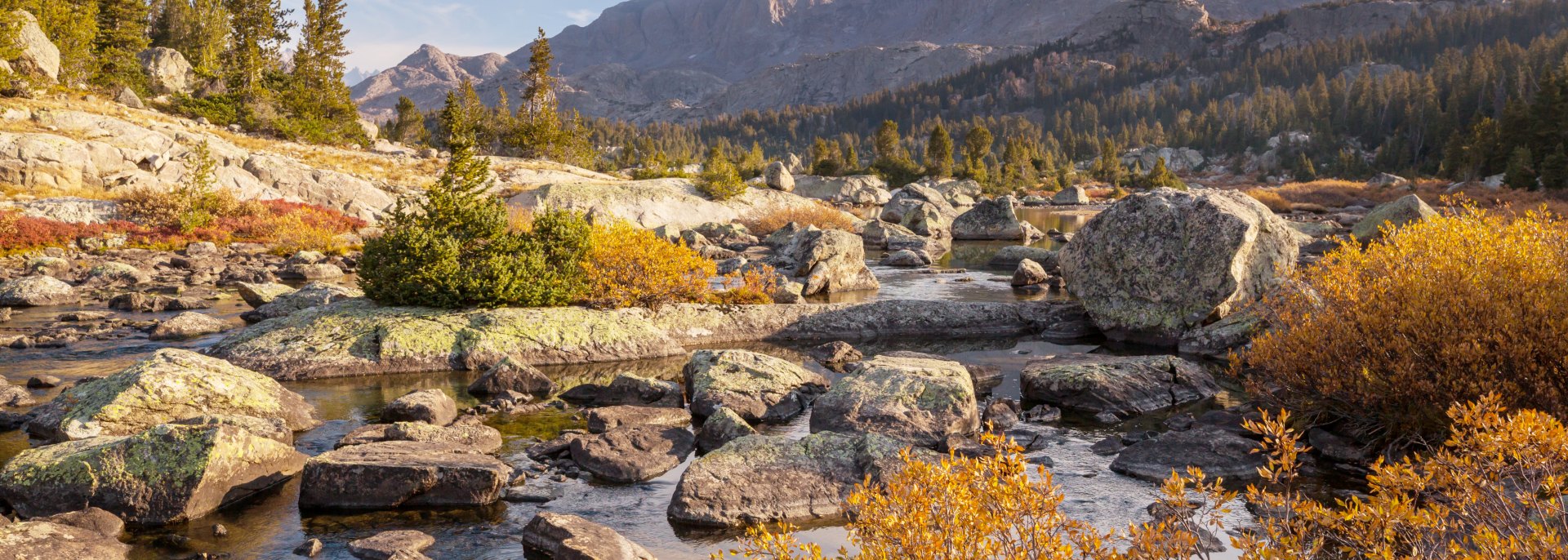Making moves stress-free, simple, and fast for families and businesses across Riverton, WY